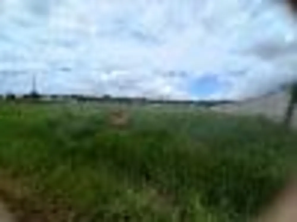Terreno, 507 m² - Foto 4