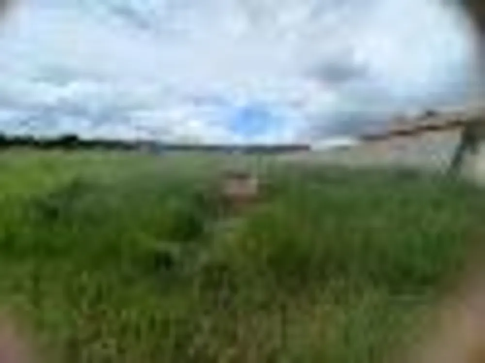 Terreno, 507 m² - Foto 5