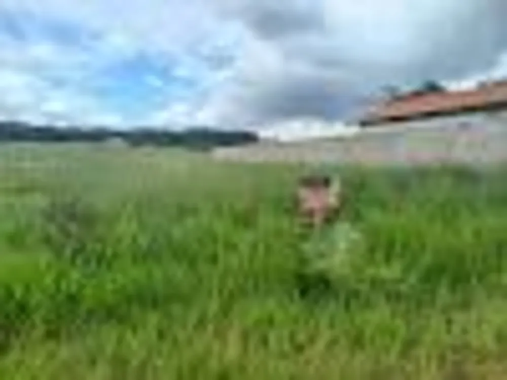 Terreno, 507 m² - Foto 3