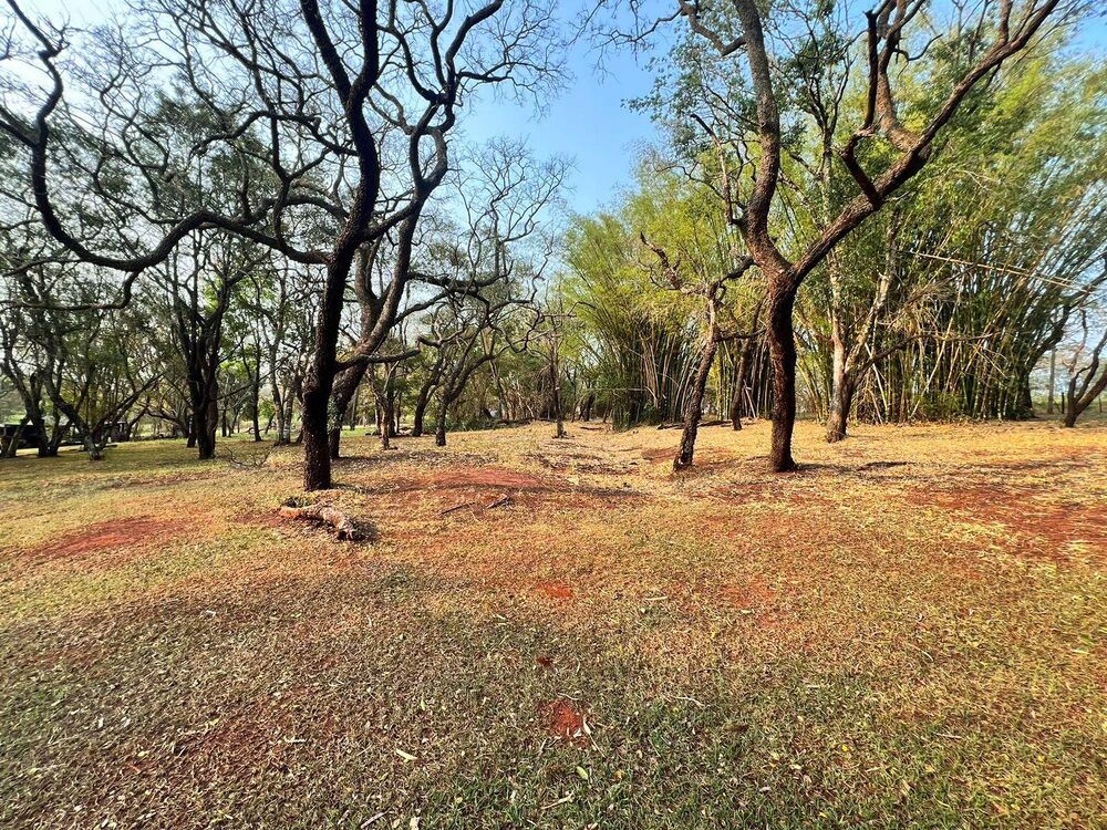 Terreno à venda, 26500m² - Foto 26