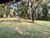 Terreno, 3 hectares - Foto 20