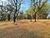 Terreno, 3 hectares - Foto 26