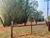 Terreno, 3 hectares - Foto 14