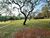 Terreno, 3 hectares - Foto 19