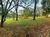 Terreno, 3 hectares - Foto 28