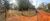 Terreno, 3 hectares - Foto 12