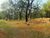 Terreno, 3 hectares - Foto 9