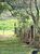 Terreno, 3 hectares - Foto 3