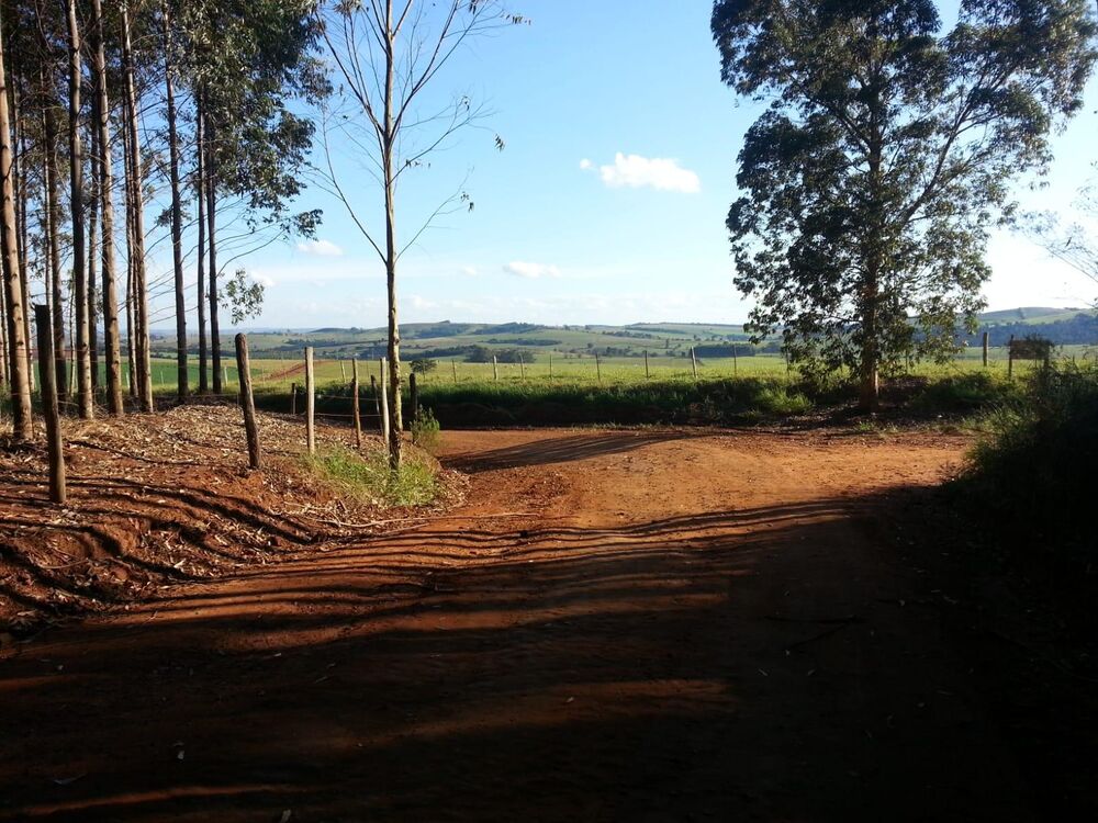 Sítio à venda com 4 quartos - Foto 1