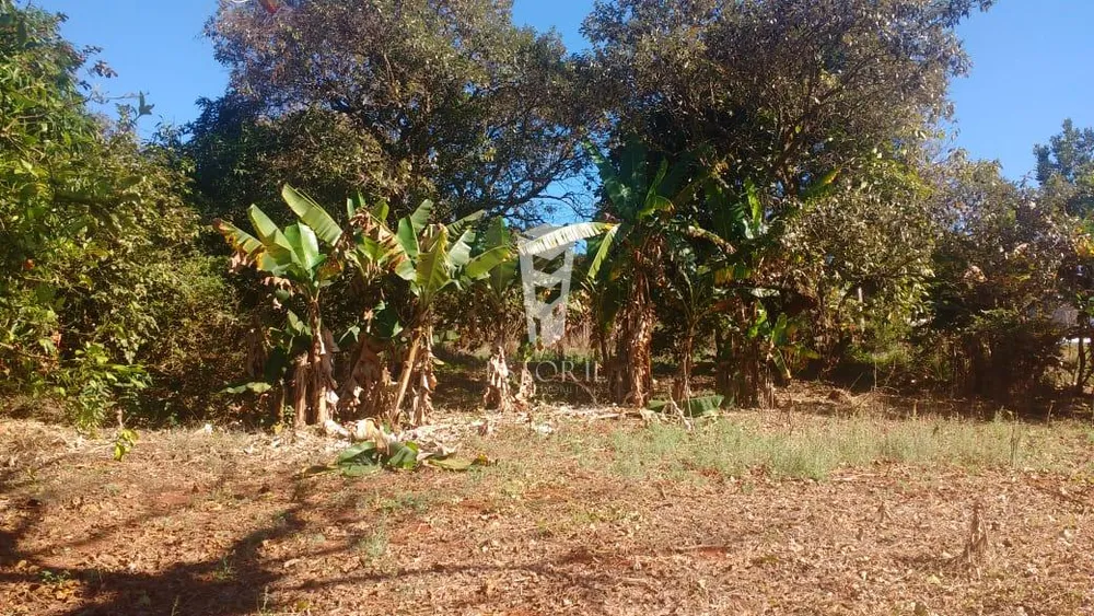 Terreno, 1016 m² - Foto 6