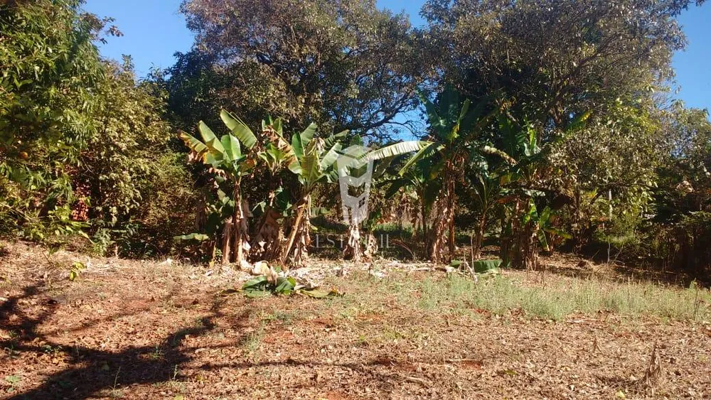 Terreno, 1016 m² - Foto 1