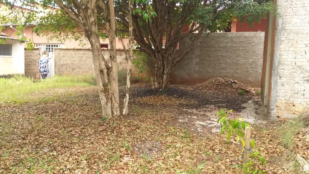 Casa, 2 quartos, 256 m² - Foto 3
