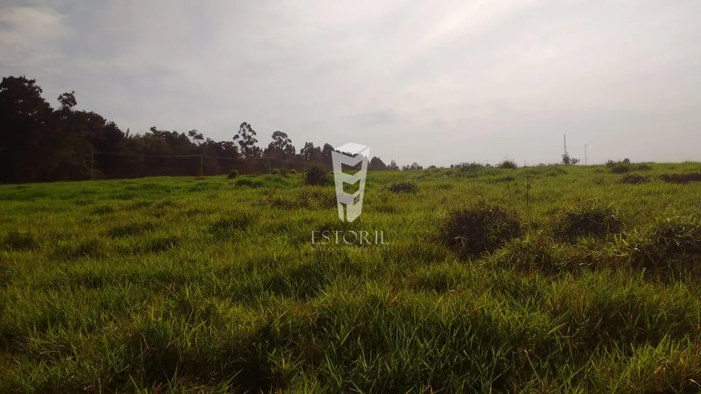 Terreno, 4 hectares - Foto 4