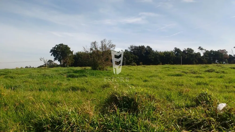 Terreno, 4 hectares - Foto 3