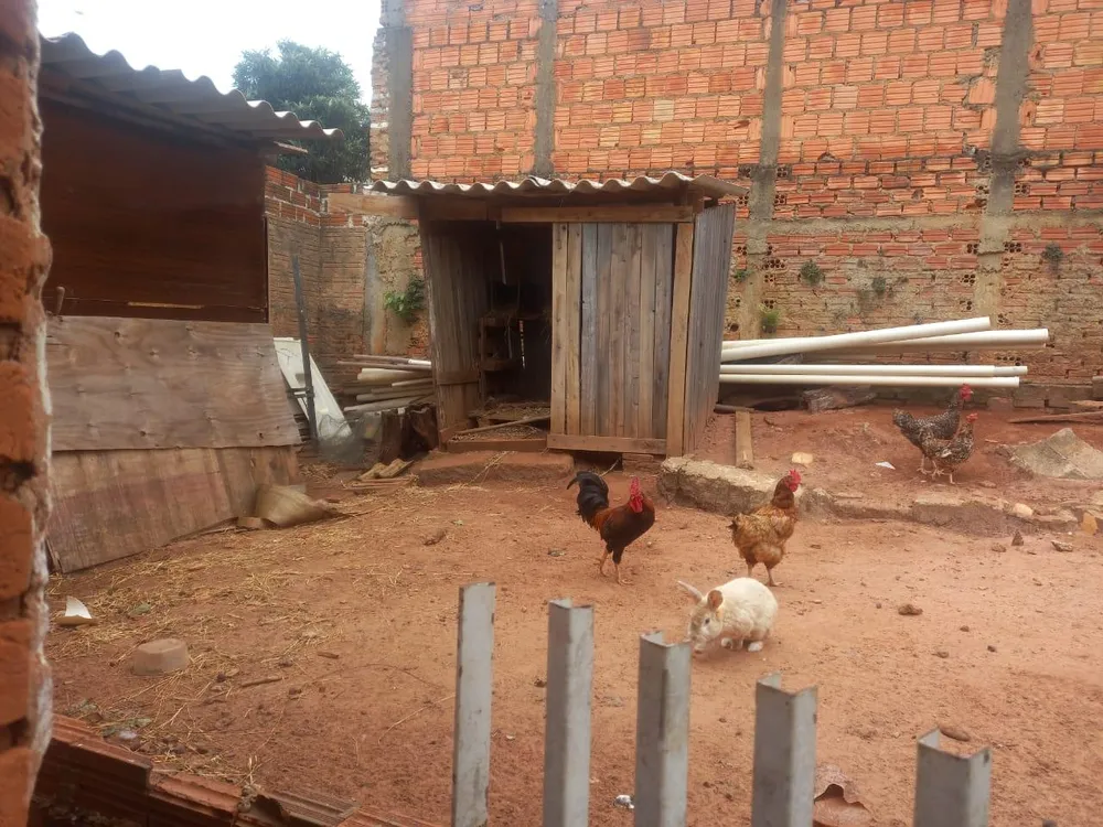 Casa, 2 quartos, 335 m² - Foto 1