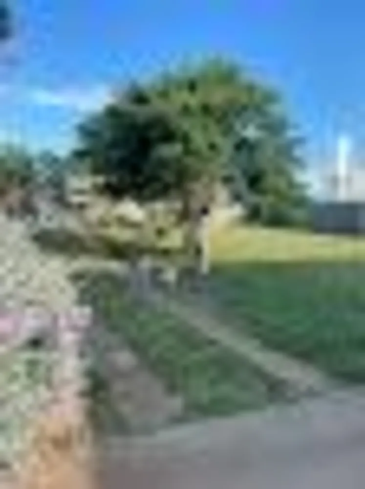 Chácara, 1 quarto - Foto 3
