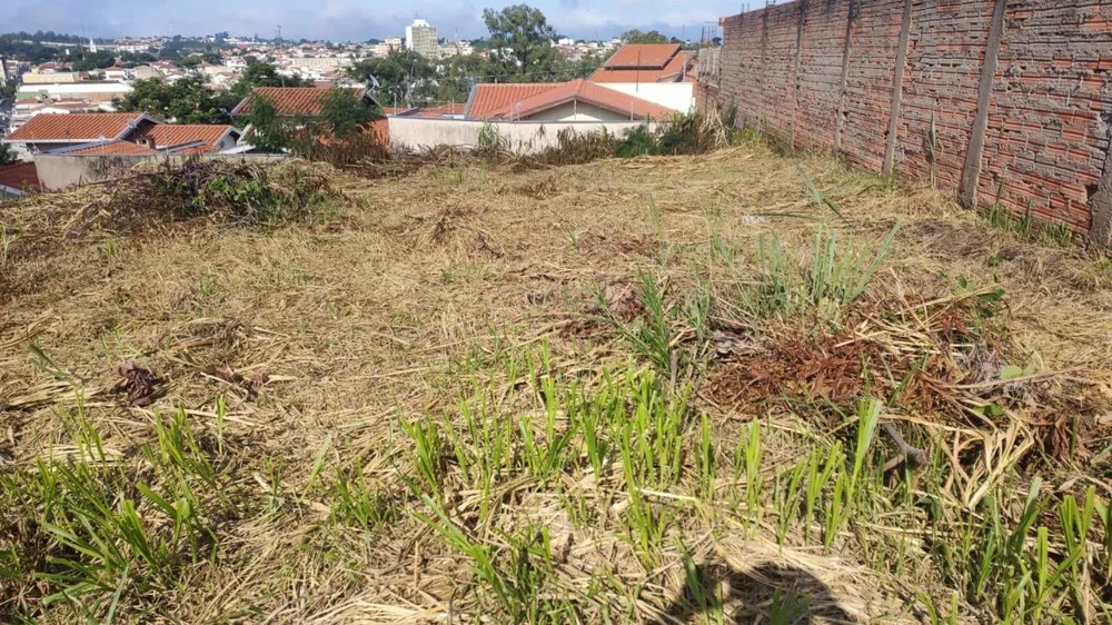 Terreno - Foto 3