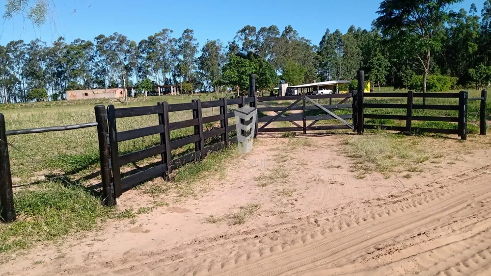 Sítio, 2 quartos, 4 hectares - Foto 1