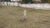 Terreno - Foto 1