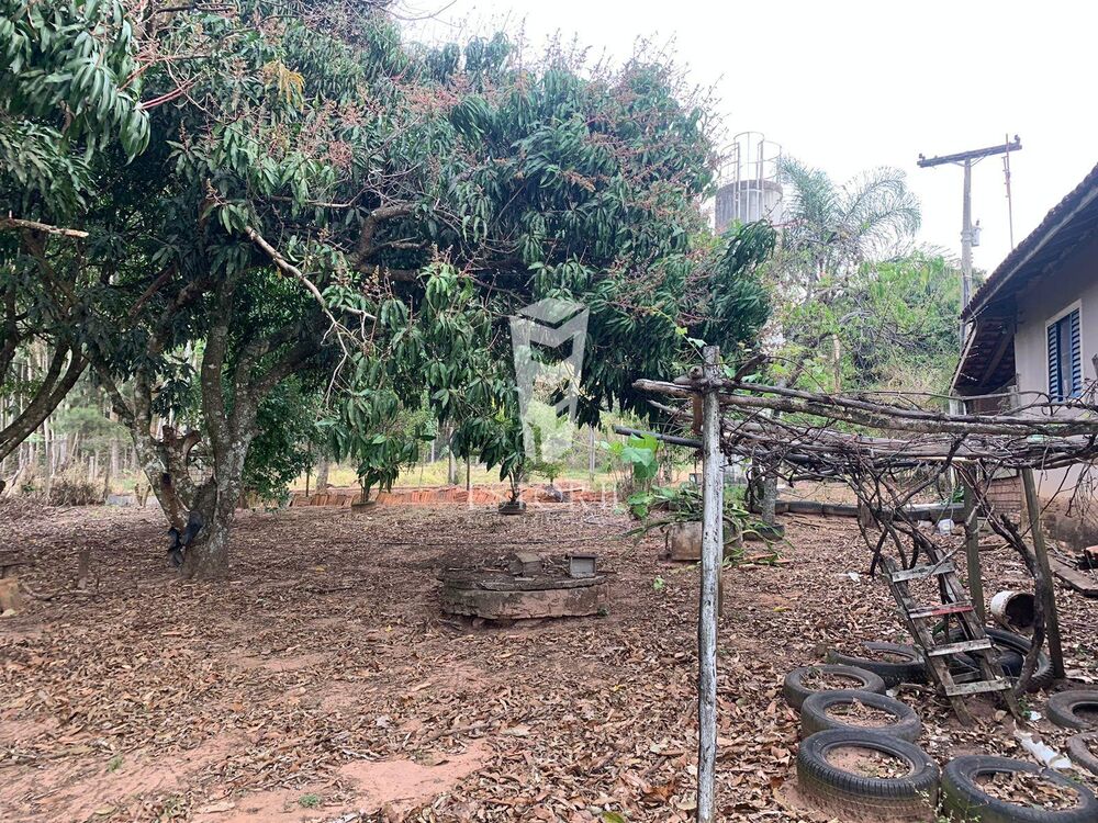 Chácara, 2 quartos, 2 hectares - Foto 14