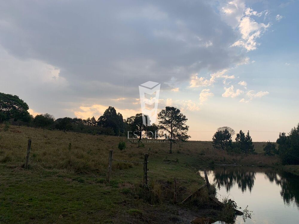 Chácara, 2 quartos, 2 hectares - Foto 19