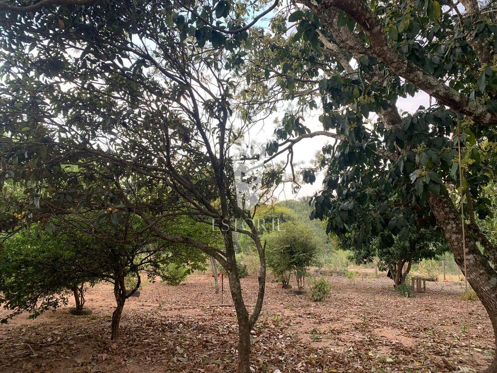 Chácara, 2 quartos, 2 hectares - Foto 10