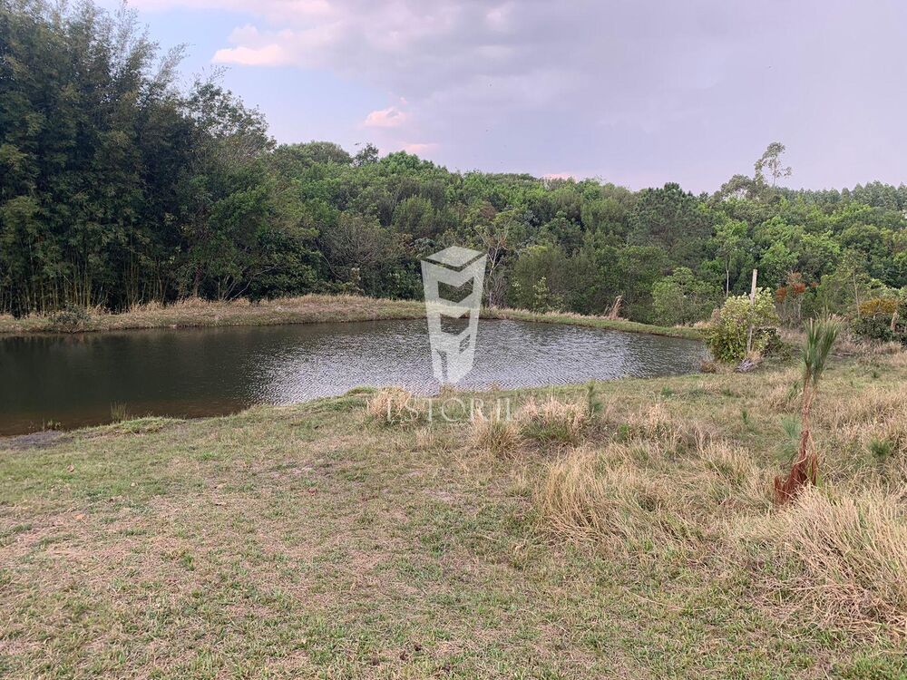 Chácara, 2 quartos, 2 hectares - Foto 25