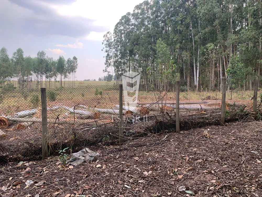 Chácara, 2 quartos, 2 hectares - Foto 41