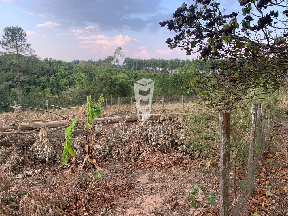 Chácara, 2 quartos, 2 hectares - Foto 4