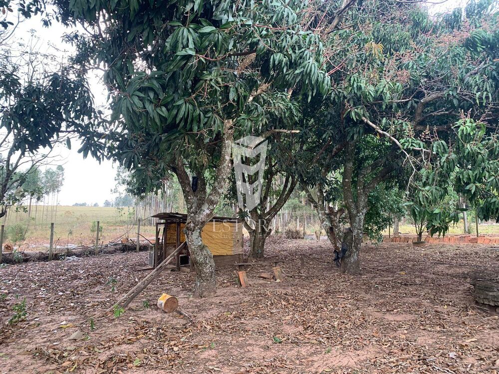 Chácara, 2 quartos, 2 hectares - Foto 12
