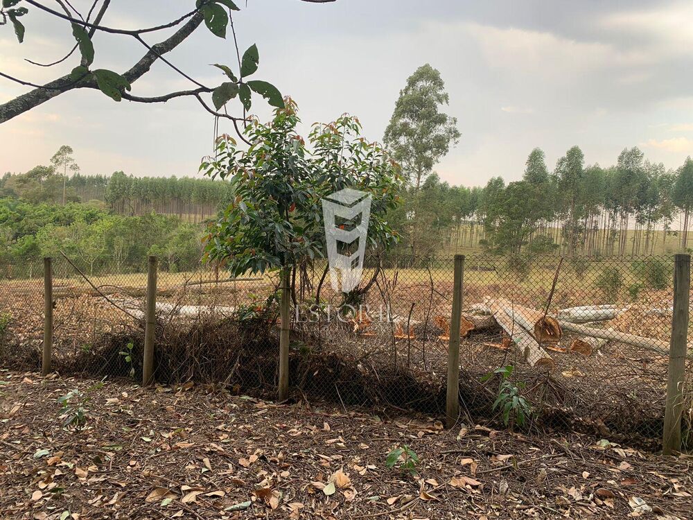 Chácara, 2 quartos, 2 hectares - Foto 11