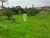 Terreno, 2 hectares - Foto 4