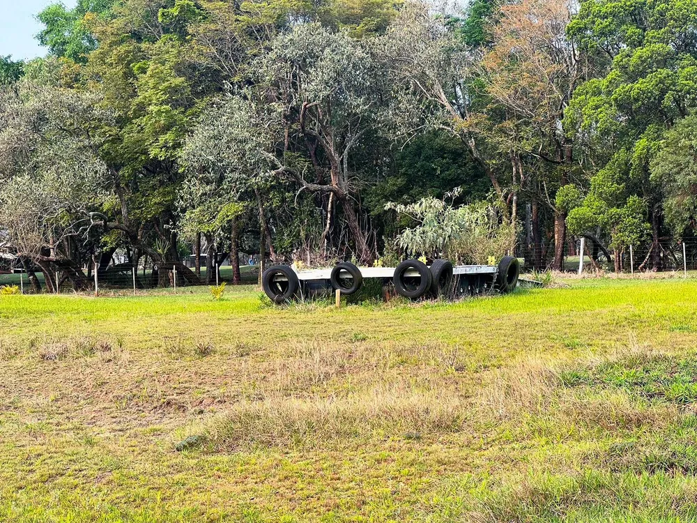 Terreno, 3 hectares - Foto 2