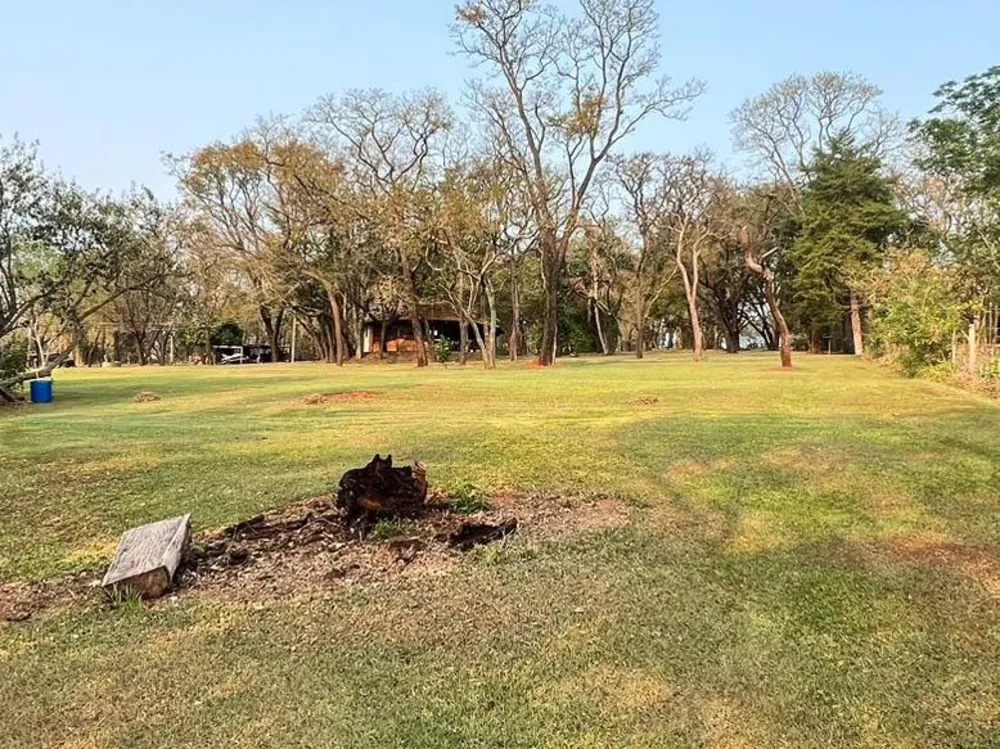 Terreno, 3 hectares - Foto 3