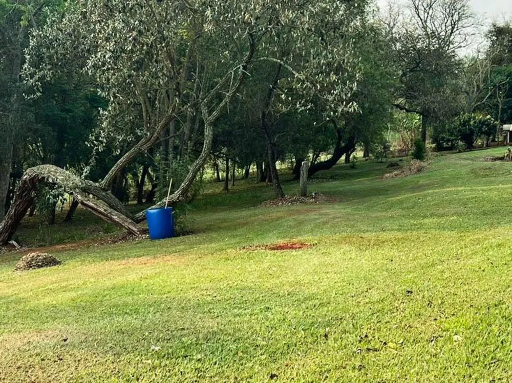 Terreno, 3 hectares - Foto 4