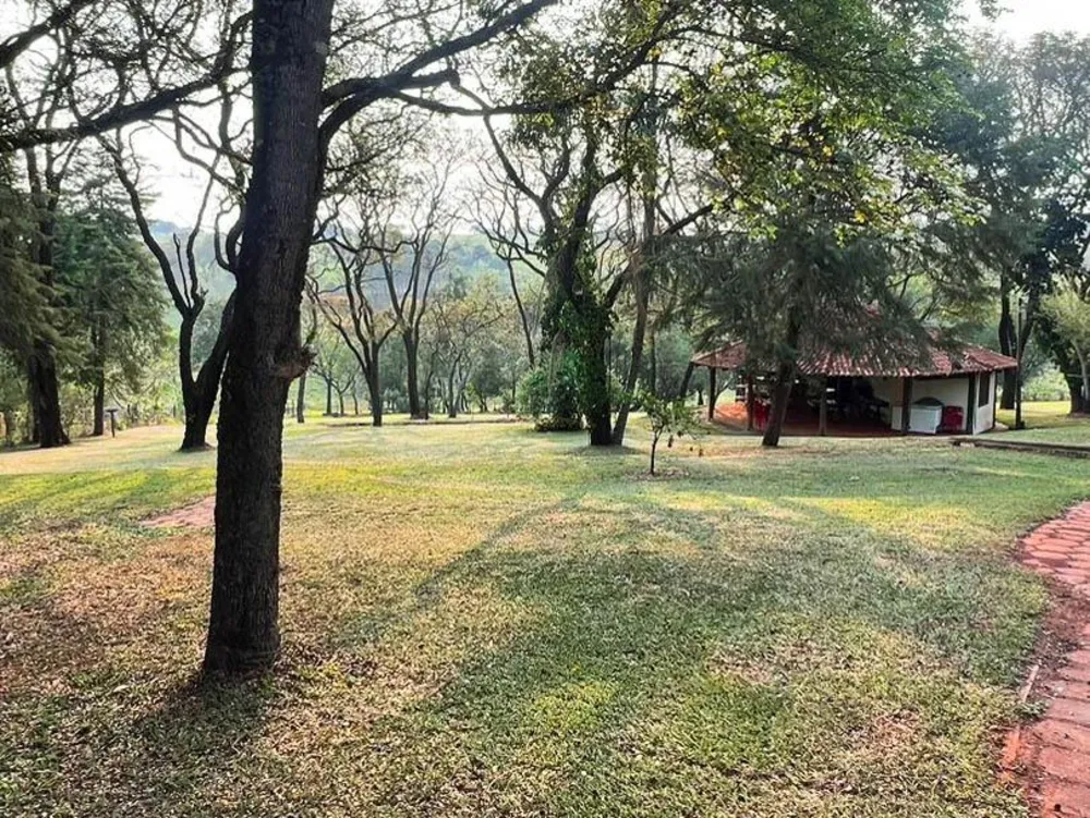 Terreno, 3 hectares - Foto 6