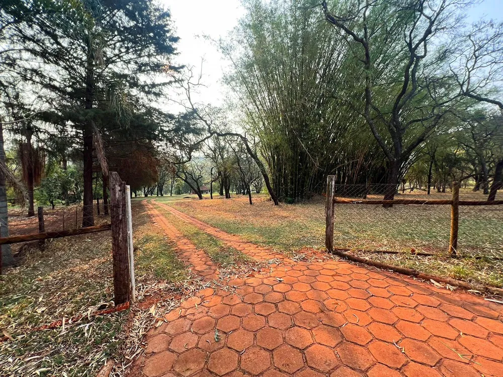 Terreno, 3 hectares - Foto 7