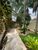 Sobrado, 1 quarto, 525 m² - Foto 1