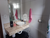 Casa, 2 quartos, 206 m² - Foto 7