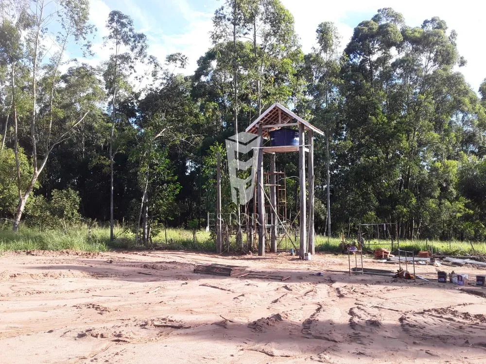 Sítio, 5 hectares - Foto 4