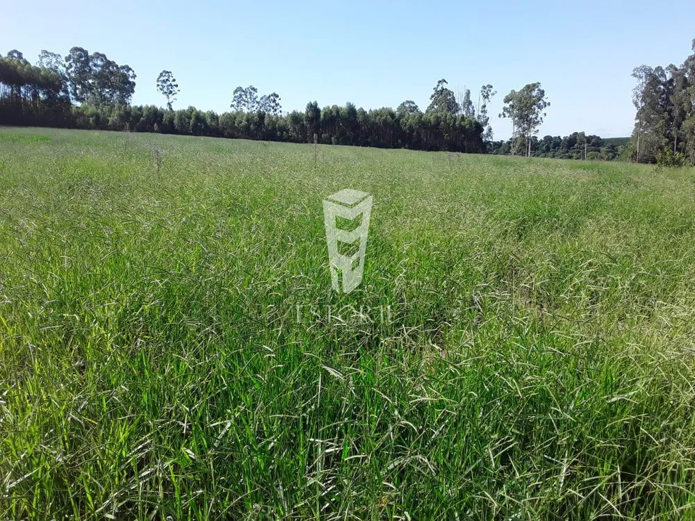 Sítio, 5 hectares - Foto 1