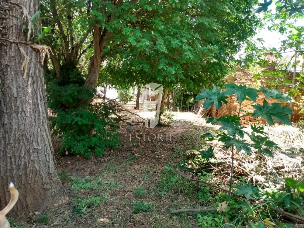 Casa, 3 quartos, 1035 m² - Foto 10