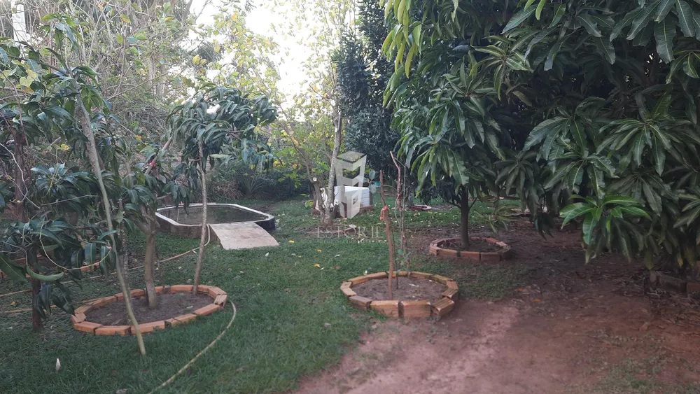 Casa, 2 quartos, 1250 m² - Foto 3