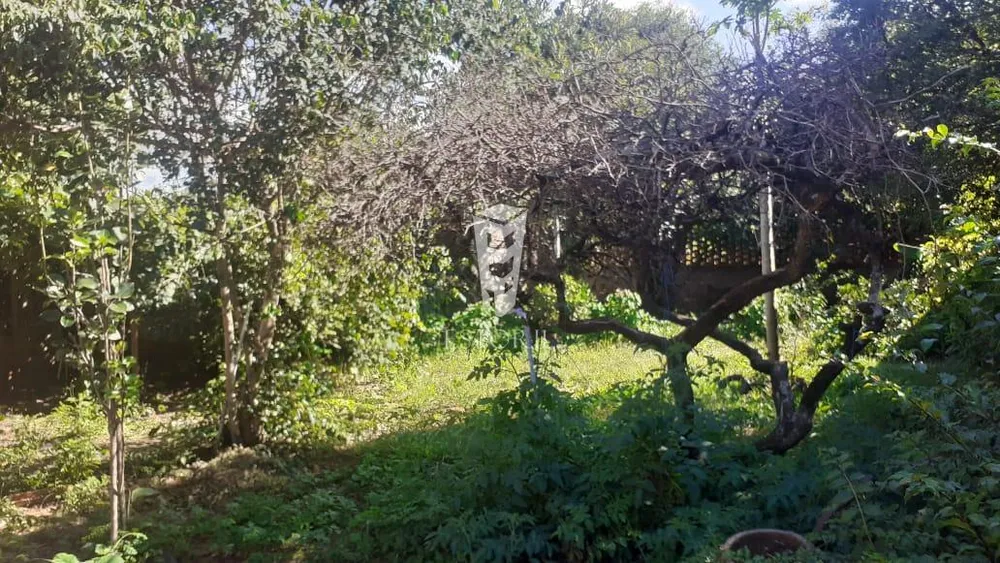 Sobrado, 2 quartos, 707 m² - Foto 5