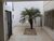 Casa, 2 quartos, 140 m² - Foto 7