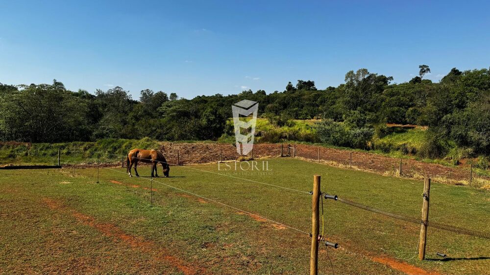 Sítio à venda com 1 quarto, 24000m² - Foto 9
