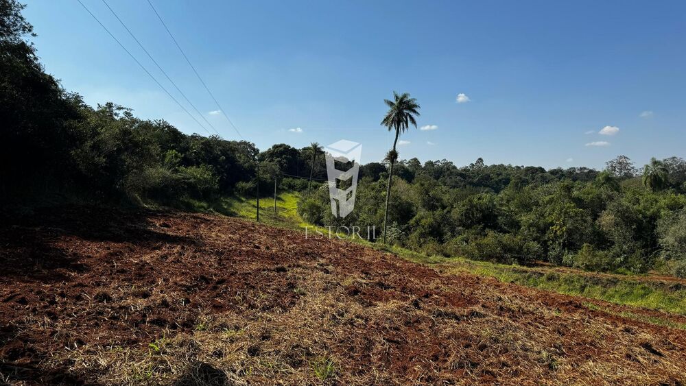 Sítio à venda com 1 quarto, 24000m² - Foto 8