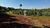 Sítio, 1 quarto, 24000 m² - Foto 1