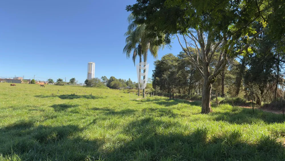 Fazenda - Foto 4