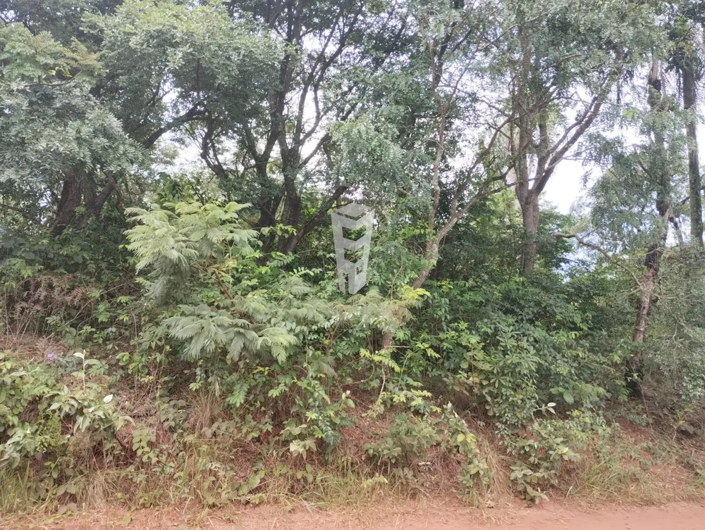 Terreno, 450 m² - Foto 2
